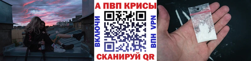 A PVP СК КРИС  Петрозаводск 