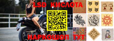 крисы Партизанск