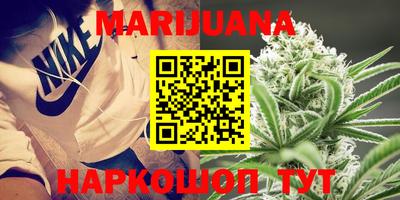 крисы Партизанск