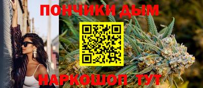 крисы Партизанск