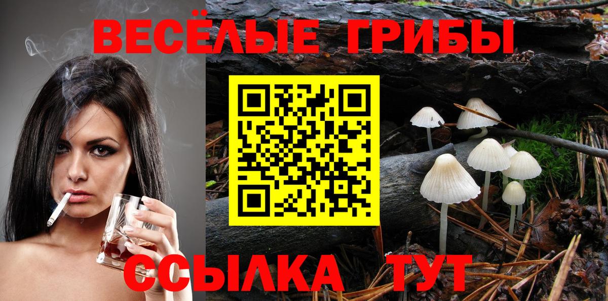 купить  цена  Галлюциногенные грибы Magic Shrooms  Вход с VPN  Галлюциногенные грибы MAGIC MUSHROOMS  Петрозаводск 