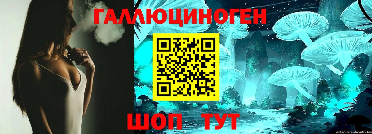 Псилоцибиновые грибы Psilocybe Петрозаводск
